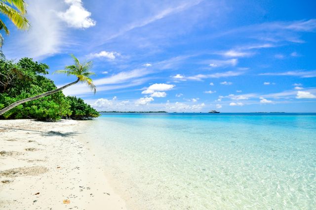 Beneficios De Viajar A La Playa