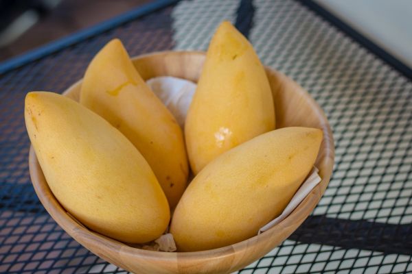 Manteca de Mango