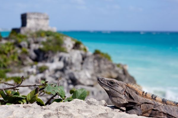 Zona Arqueológica de Tulum México