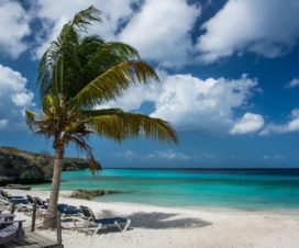 Actividades imperdibles en el parque Playa del Carmen