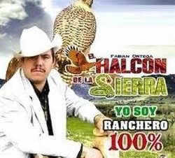 El Cantante El Halcón de la Sierra fue Asesinado