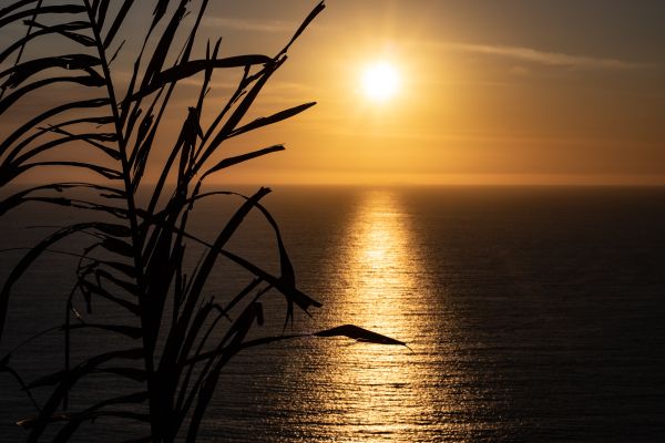 Puerto Vallarta